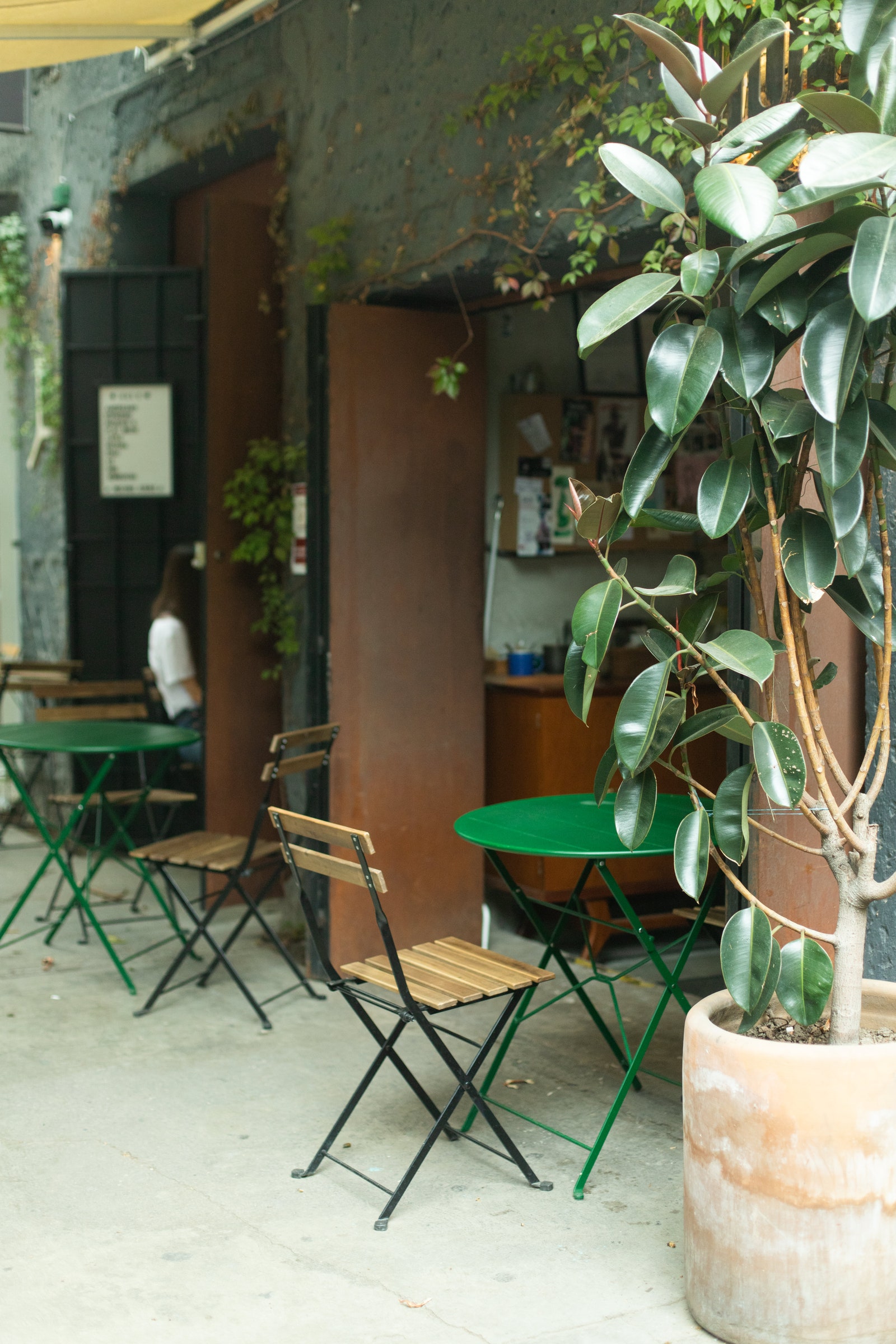 The outdoor dining area at Canopia. Photo: Daniela Villarreal